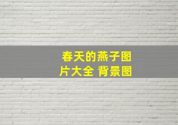 春天的燕子图片大全 背景图